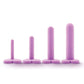 Blush Wellness Dilator Kit